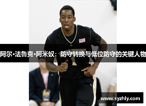阿尔·法鲁克·阿米奴：防守转换与低位防守的关键人物