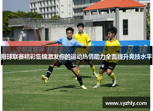 排球联赛精彩集锦激发你的运动热情助力全面提升竞技水平
