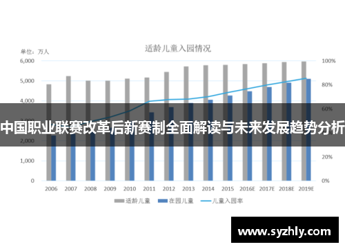 中国职业联赛改革后新赛制全面解读与未来发展趋势分析